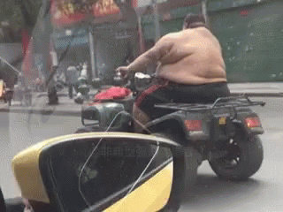 motorbike-fat.gif