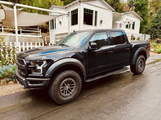 2019 Raptor.jpeg