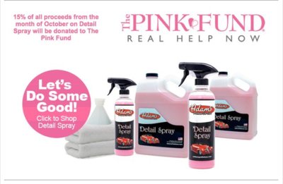 Pink Fund Banner.jpg