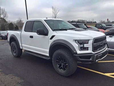 2017 Raptor.jpg