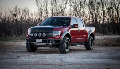 Raptor 8 Jan 2016.jpg