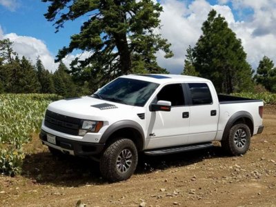 Raptor on Diamon Mtn.jpg