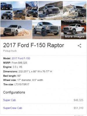 raptor.jpg