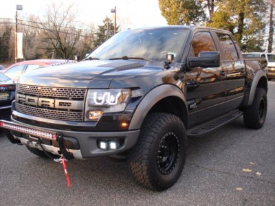 2013 raptor 002.jpg