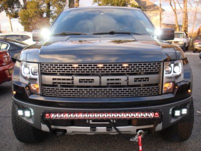 2013 raptor 003.jpg