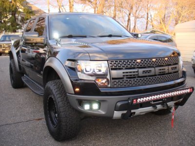 2013 raptor 004.jpg