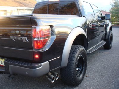 2013 raptor 005.jpg