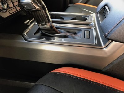 FRF My Raptor Shifter & Seat.jpg