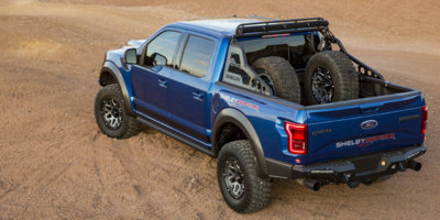 18_VW_FORD_RAPTOR_7333.jpg