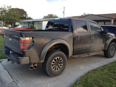 Raptor_Dirty_1 (Medium).jpg