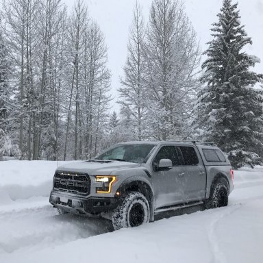 Front License plate Rivets | Ford Raptor Forum