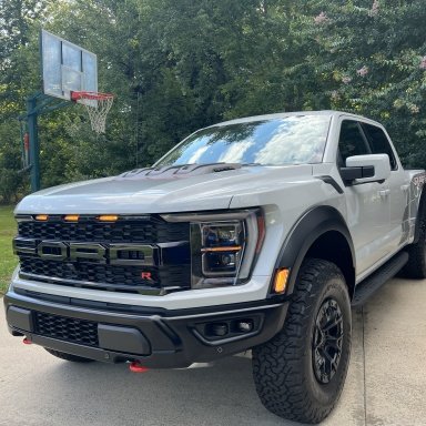 Fender flares and grille paint code | Ford Raptor Forum