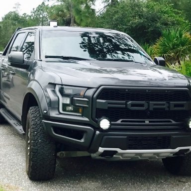 Brush Guard for 2021 Raptor | Ford Raptor Forum