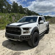 Lowcountry Raptor