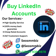 seosmmbiz40