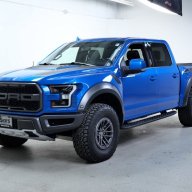 One_Blue_Raptor